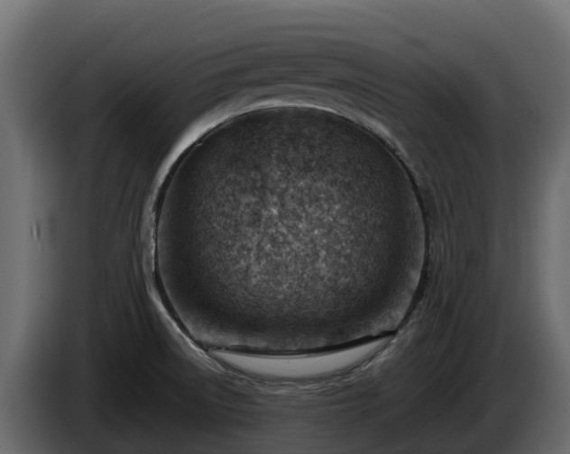 X0000085751522200703231121
