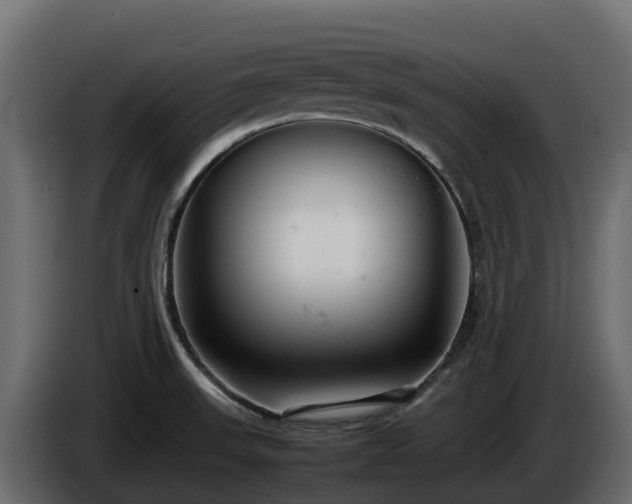 X0000085751523200703231121