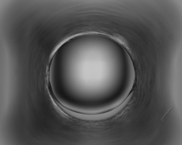 X0000085751524200703231121