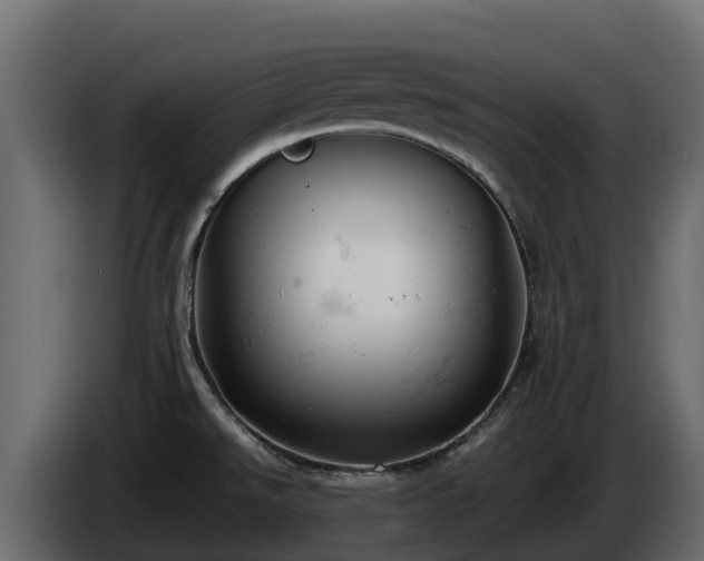 X0000085751526200703231121