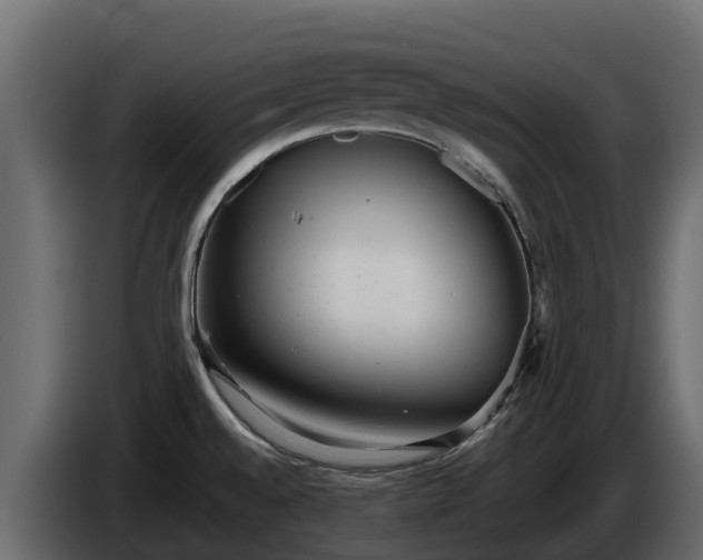 X0000085751528200703231121