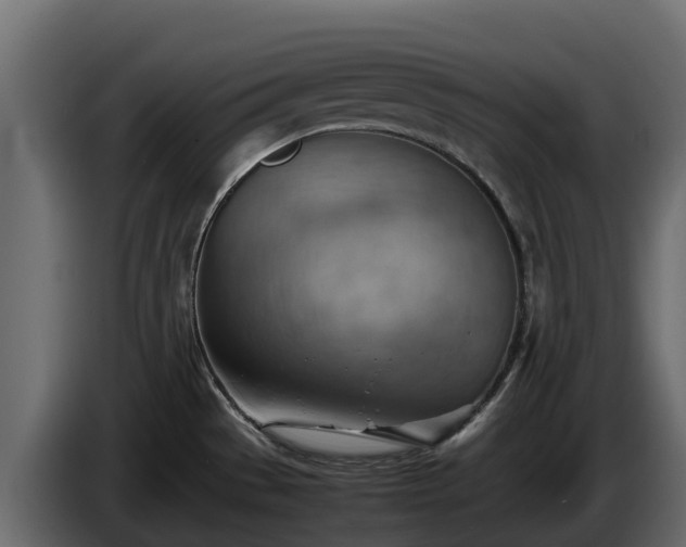 X0000085751529200703231121
