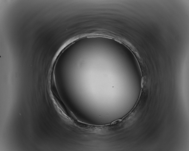 X0000085751530200703231121