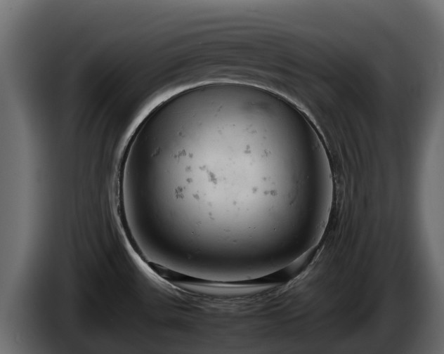 X0000085751531200703231121