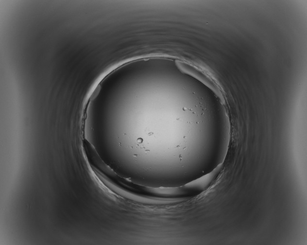 X0000085751532200703231121