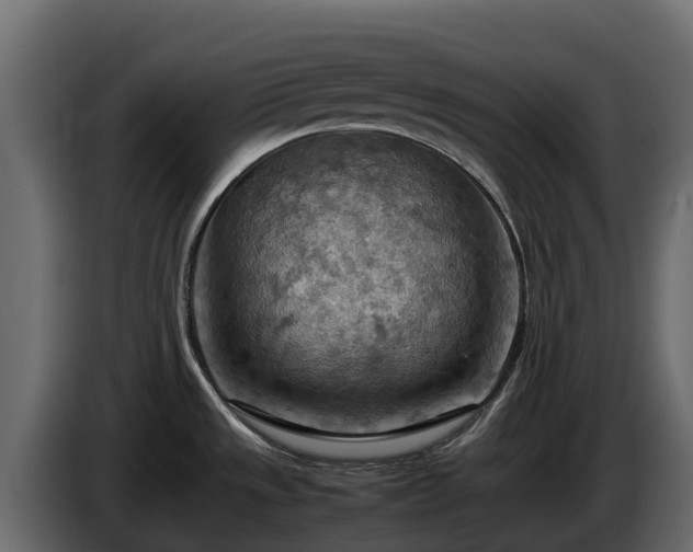 X0000085751533200703231121
