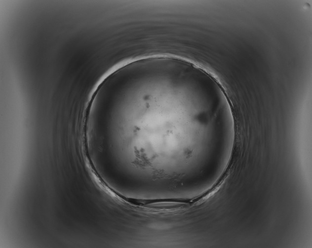 X0000085751534200703231121