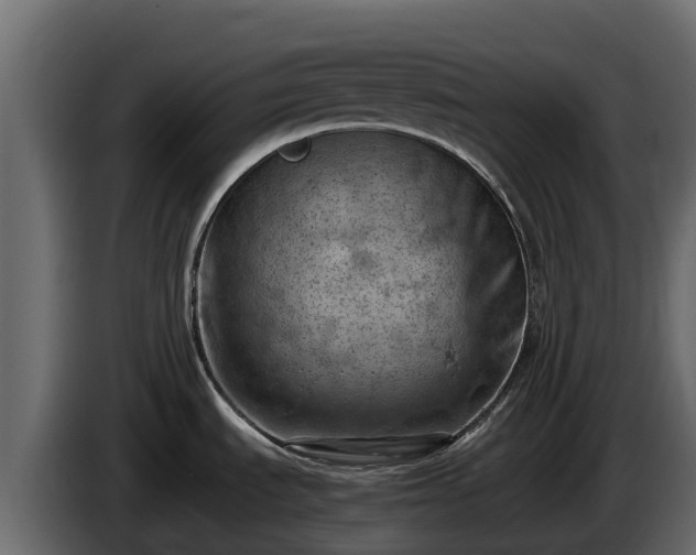 X0000085751535200703231121