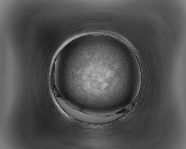 X0000085751536200703231121