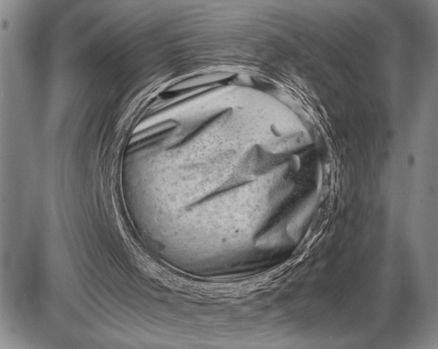 X0000085750001200703301414