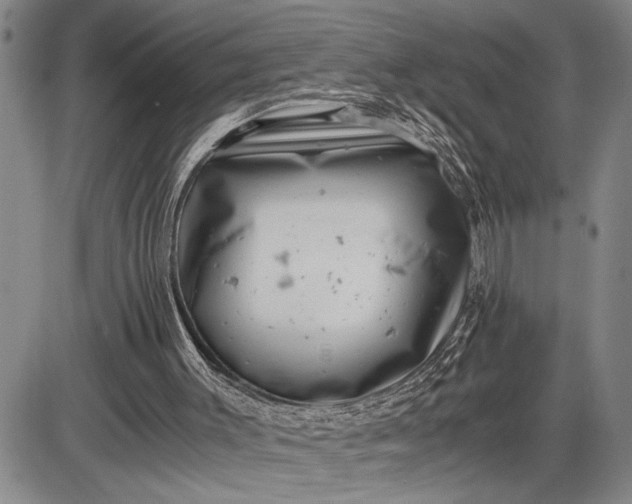 X0000085750003200703301414