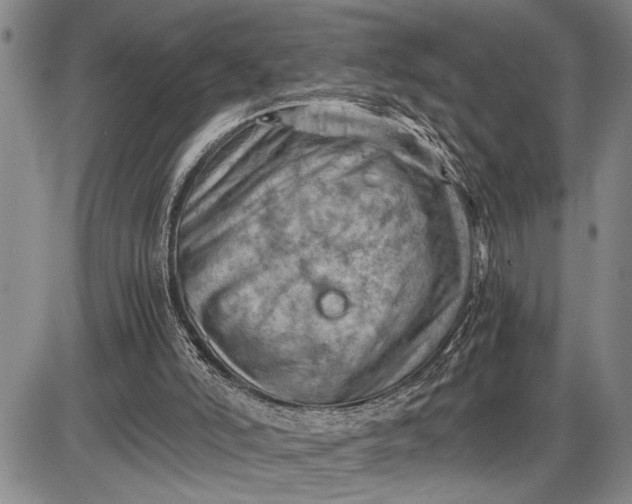 X0000085750006200703301414