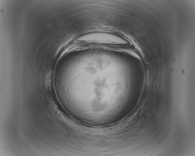 X0000085750010200703301414