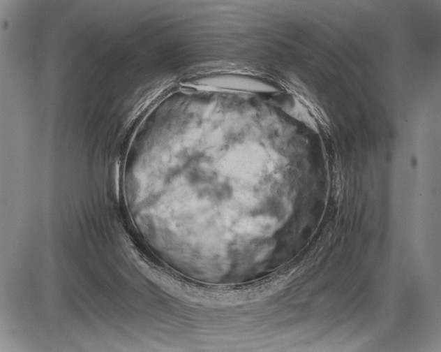 X0000085750014200703301414