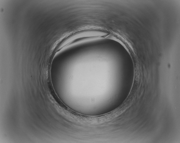 X0000085750015200703301414