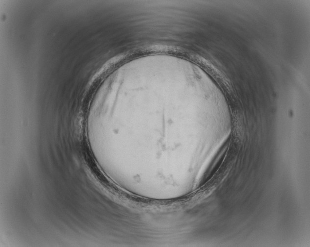 X0000085750016200703301414