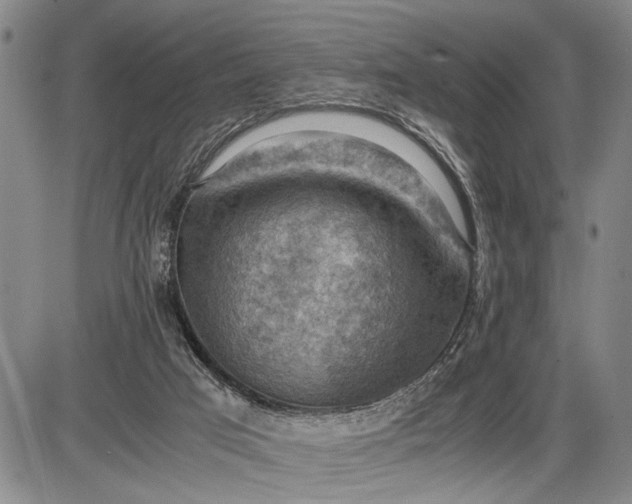 X0000085750017200703301414