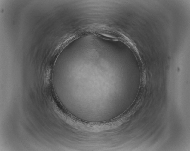 X0000085750018200703301414