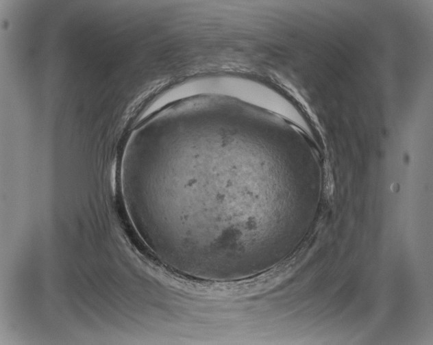 X0000085750019200703301414