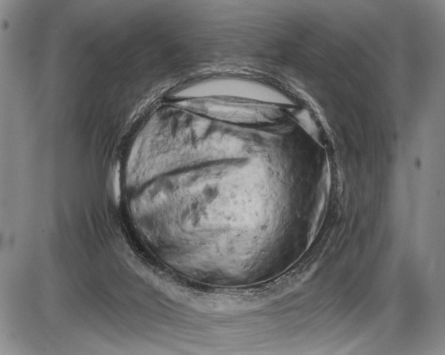 X0000085750020200703301414