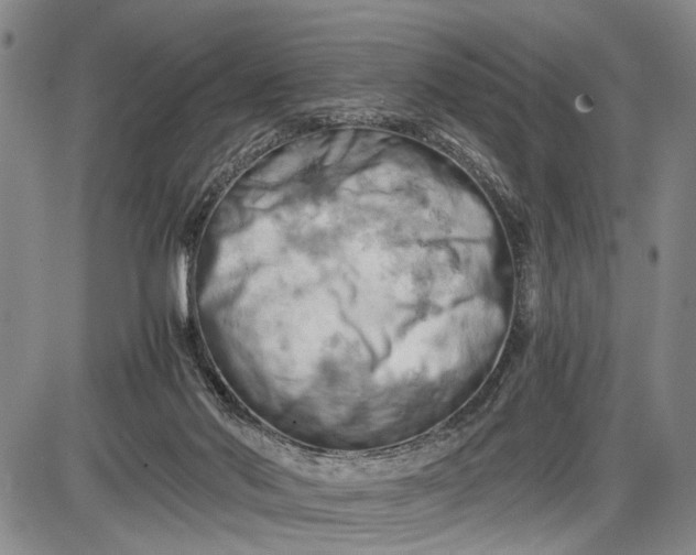 X0000085750022200703301414