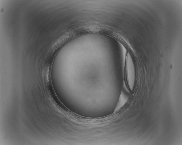 X0000085750023200703301414