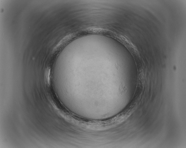 X0000085750024200703301414