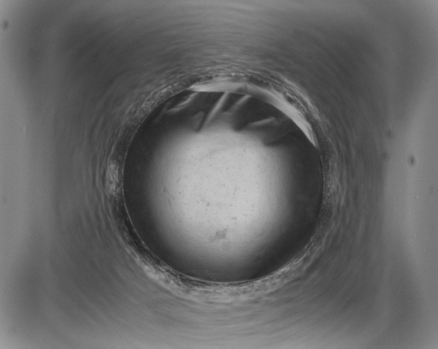 X0000085750025200703301414