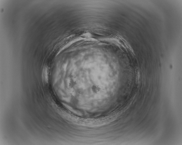 X0000085750026200703301414