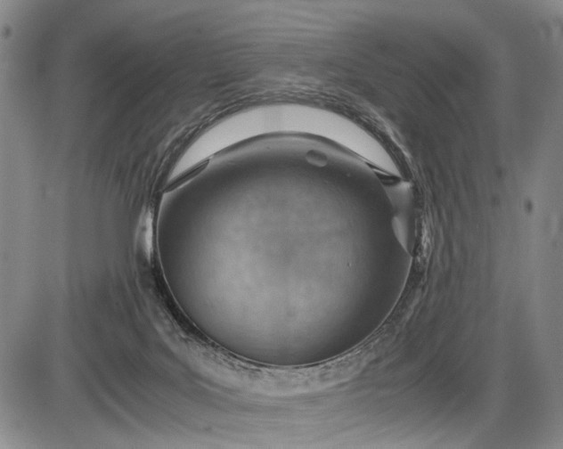 X0000085750027200703301414