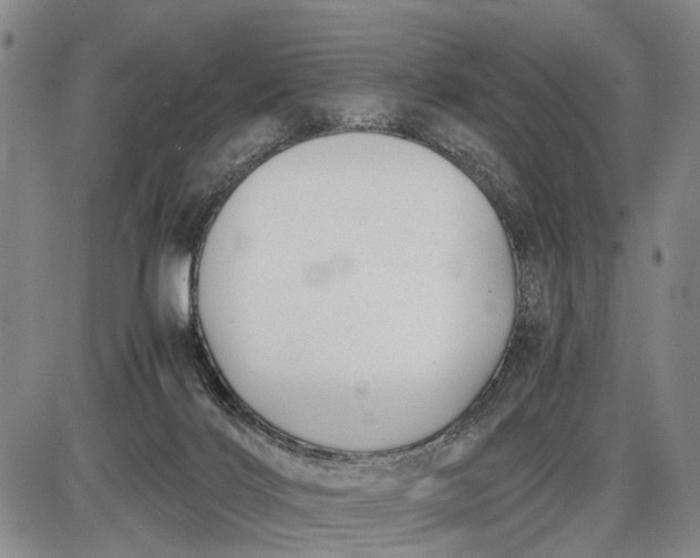 X0000085750028200703301414