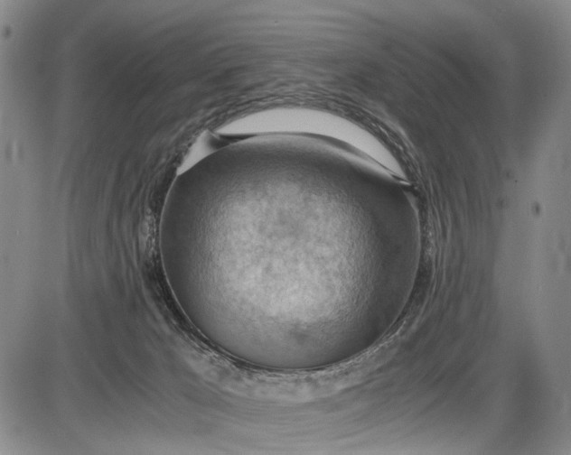 X0000085750029200703301414