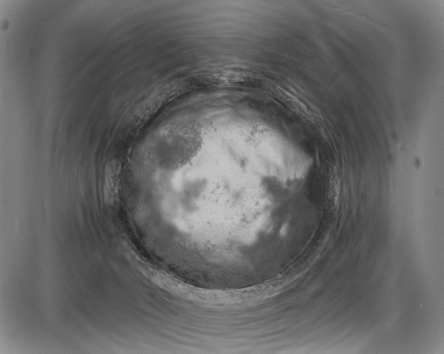 X0000085750030200703301414