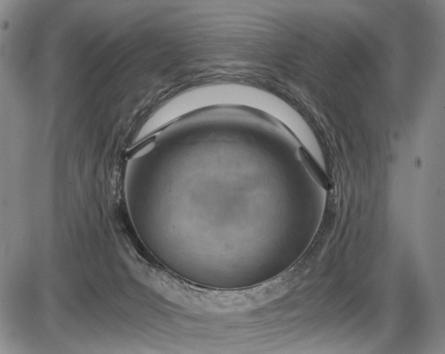 X0000085750031200703301414