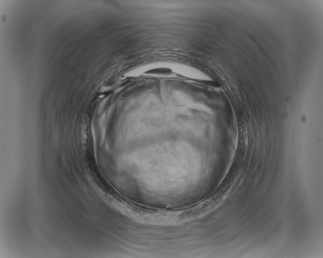 X0000085750032200703301414