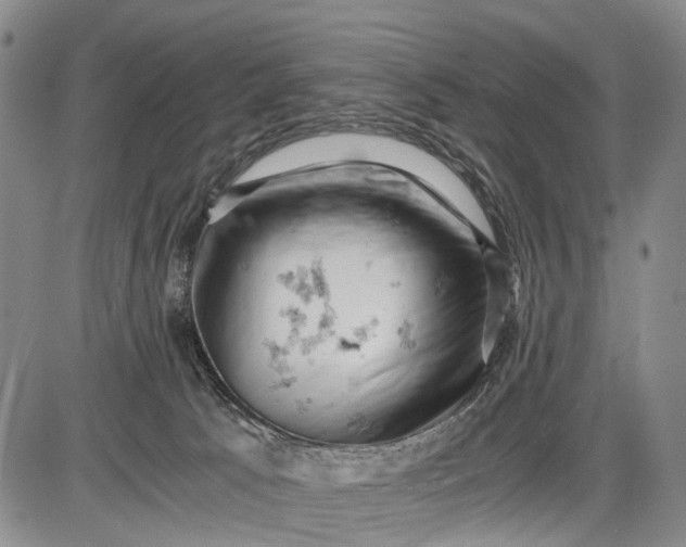 X0000085750033200703301414