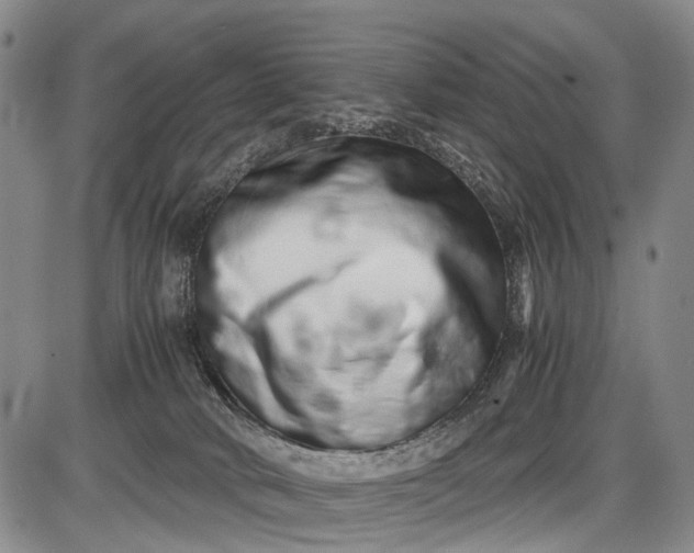 X0000085750034200703301414