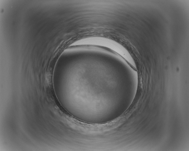 X0000085750035200703301414