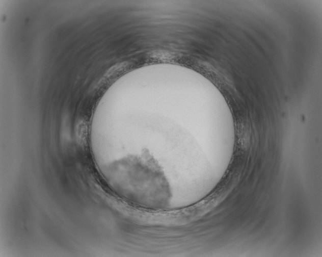 X0000085750036200703301414