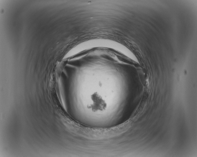 X0000085750037200703301414