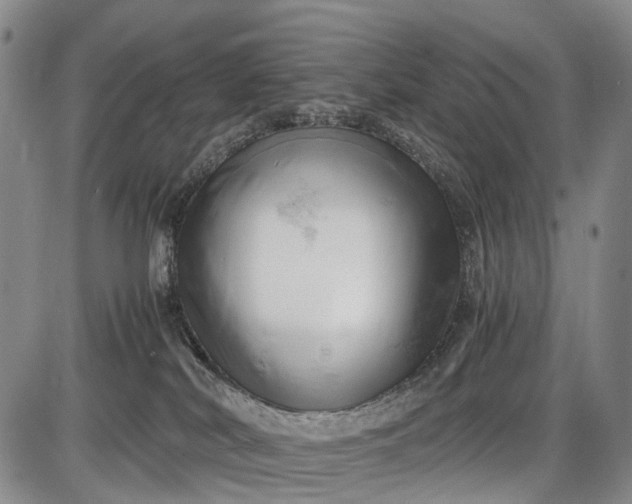 X0000085750038200703301414