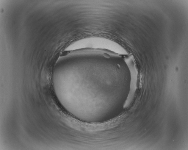 X0000085750039200703301414