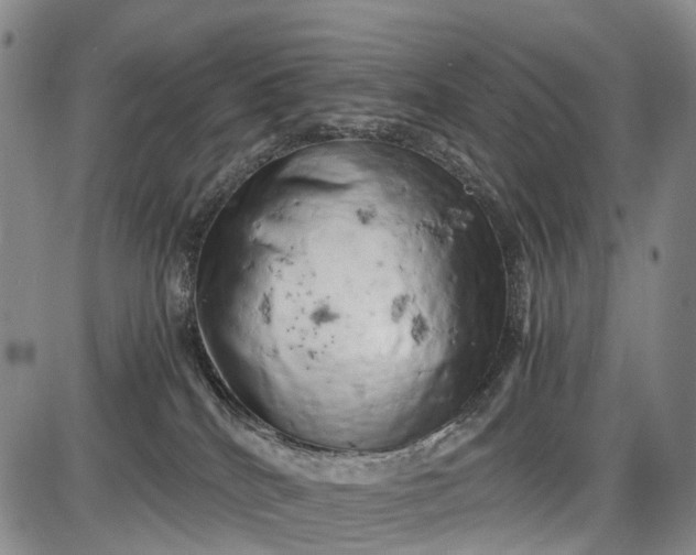 X0000085750040200703301414