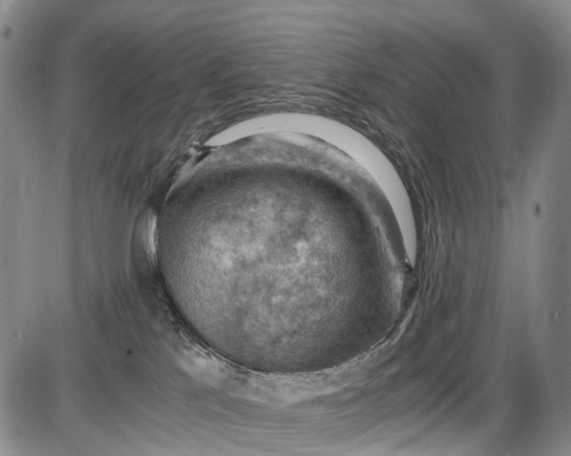 X0000085750041200703301413