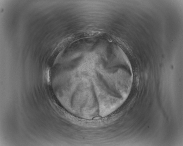 X0000085750042200703301413