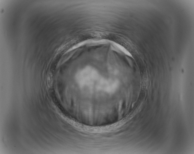 X0000085750043200703301413