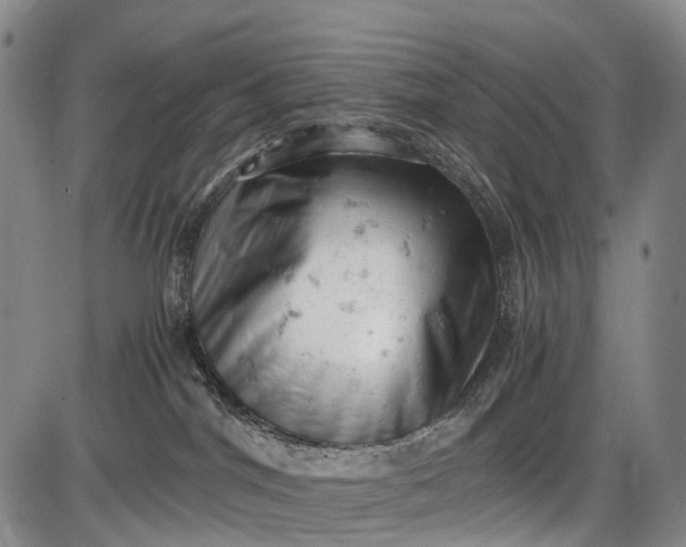 X0000085750044200703301413