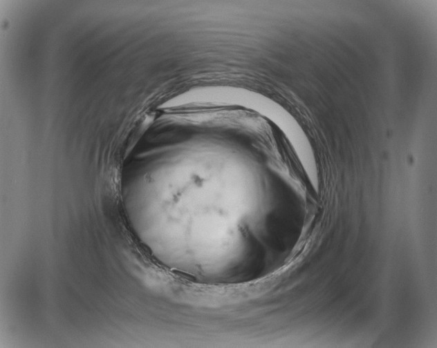 X0000085750045200703301413