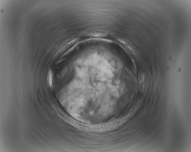 X0000085750046200703301413