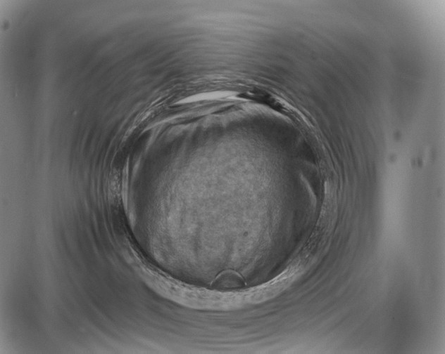 X0000085750048200703301413